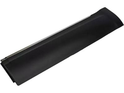 Ford AE9Z-7425557-AA Side Molding