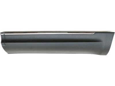 Ford AE9Z-7425557-AA Side Molding
