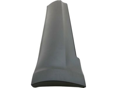 Ford AE9Z-7425557-AA Side Molding