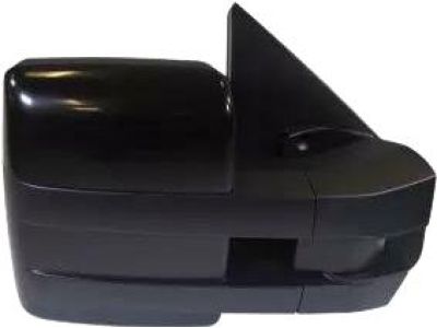 Ford 9L3Z-17682-CAPTM Mirror
