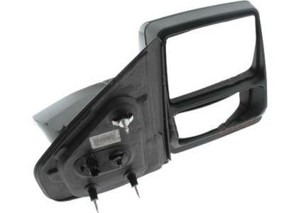 Ford 9L3Z-17682-CAPTM Mirror