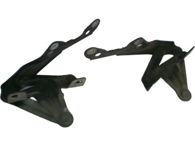 Ford F6DZ-16796-AA Hinge