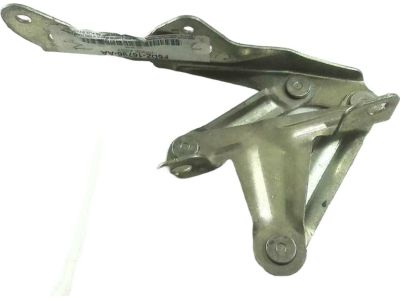 Ford F6DZ-16796-AA Hinge