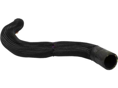 Ford DG9Z-8286-E Lower Hose