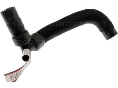 Ford DG9Z-8286-E Lower Hose