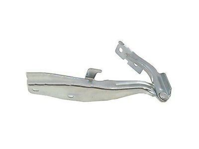 Ford AG1Z-16796-A Hinge