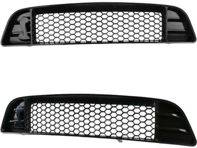 Ford DR3Z-8200-AB Grille