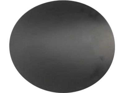 Ford EJ7Z-78405A26-A Fuel Door