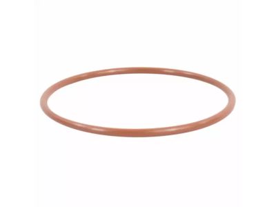 Ford CC1Z-00815-A Filter Element O-Ring