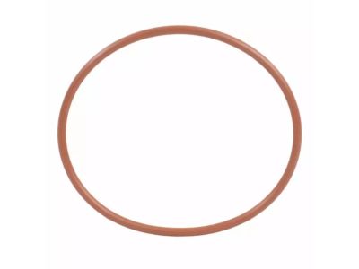 Ford CC1Z-00815-A Filter Element O-Ring