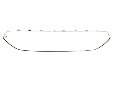 Ford DS7Z-8419-AA Grille Surround