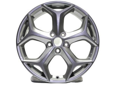 Ford CM5Z-1007-B Wheel, Alloy