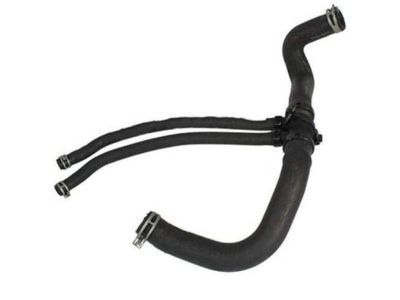 Ford F81Z-8286-AD Lower Hose