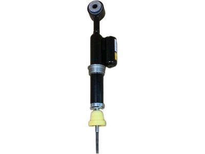 Ford AU2Z-18124-C Strut