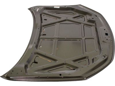 Ford BE5Z-16612-A Hood