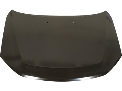 Ford BE5Z-16612-A Hood