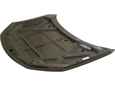 Ford BE5Z-16612-A Hood