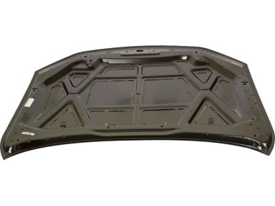 Ford BE5Z-16612-A Hood
