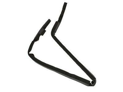 Ford FR3Z-15001A06-A Grille Seal