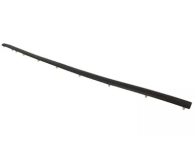 Ford CK4Z-61842K02-A Lower Seal