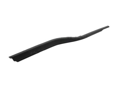 Ford FL3Z-1521452-E Belt Molding