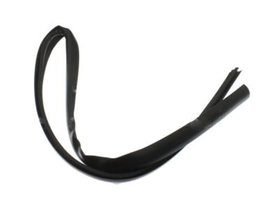 Ford 4L1Z-1503110-AA Weatherstrip