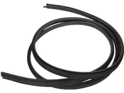 Ford 2T1Z-5821597-A Window Channel