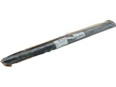 Ford DP5Z-5420879-AA Side Molding