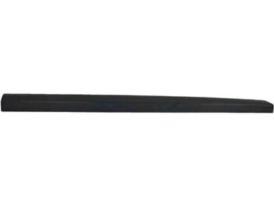 Ford DP5Z-5420879-AA Side Molding