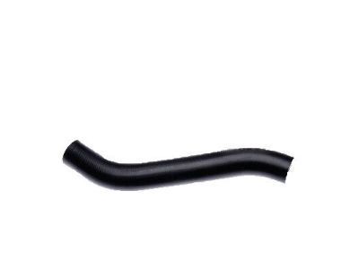 Ford F3DZ-8260-A Upper Hose