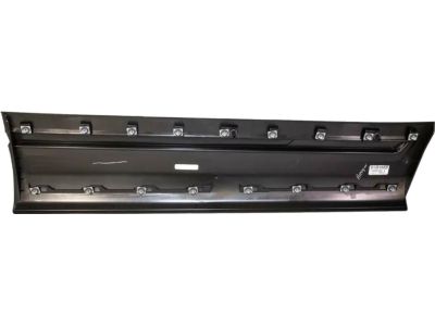 Ford HB5Z-7820879-AA Lower Molding