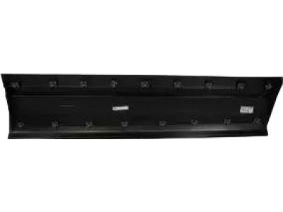 Ford HB5Z-7820879-AA Lower Molding