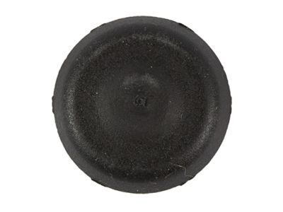 Ford -W714032-S300 Door Shell Plug