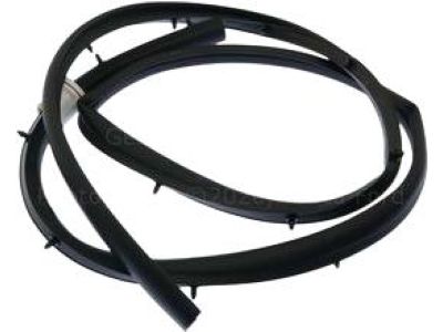 Ford DT1Z-61253A10-A Lower Weatherstrip