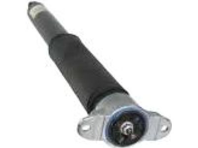 Ford CV6Z-18125-N Shock Assembly