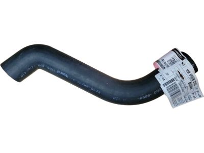 Ford F81Z-8260-BA Upper Hose