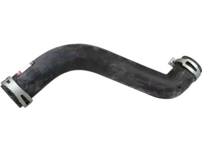 Ford F81Z-8260-BA Upper Hose