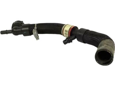 Ford G3GZ-8286-C Lower Hose