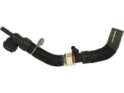 Ford G3GZ-8286-C Lower Hose