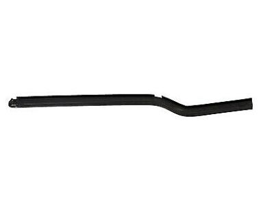 Ford 2T1Z-5821453-A Belt Weatherstrip