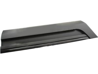 Ford BB5Z-7825556-AA Lower Molding