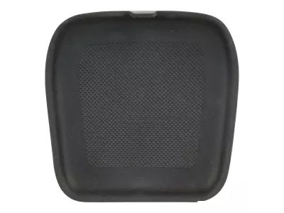 Ford BK3Z-61045G34-AB Finish Panel Cap