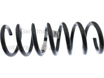 Ford DV6Z-5560-A Coil Spring