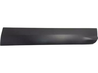 Ford CJ5Z-7820878-AB Moulding - Door Outside