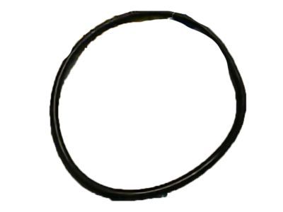 Ford E69Z-9417-A Lock Ring Gasket