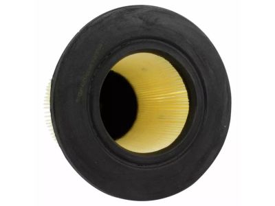 Ford F5OY-9601-A Element