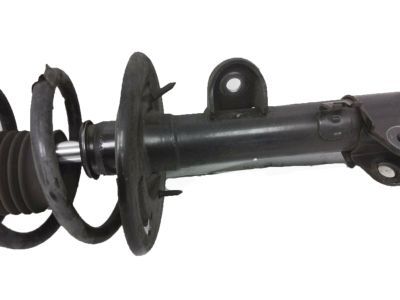 Ford DB5Z-18124-W Strut