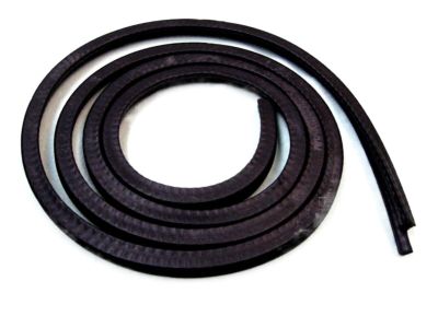 Ford D9ZZ-66502C50-A Weatherstrip