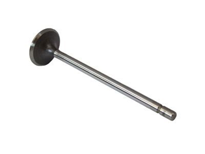 Ford 8C3Z-6507-A Intake Valve