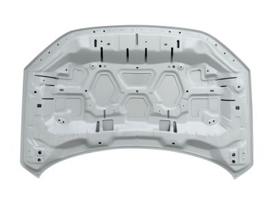 Ford M1PZ-16612-A HOOD ASY